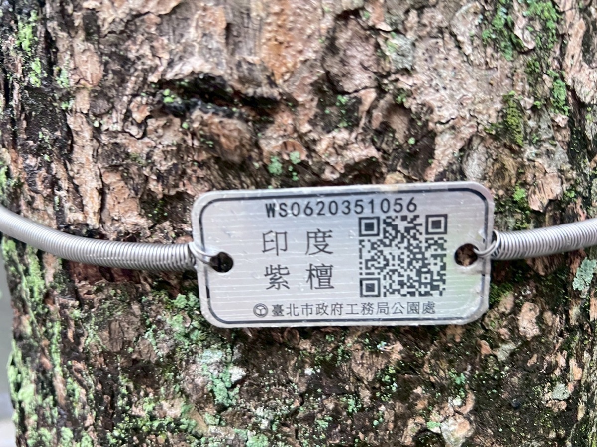 台北市行道樹樹牌 QR Code 特寫